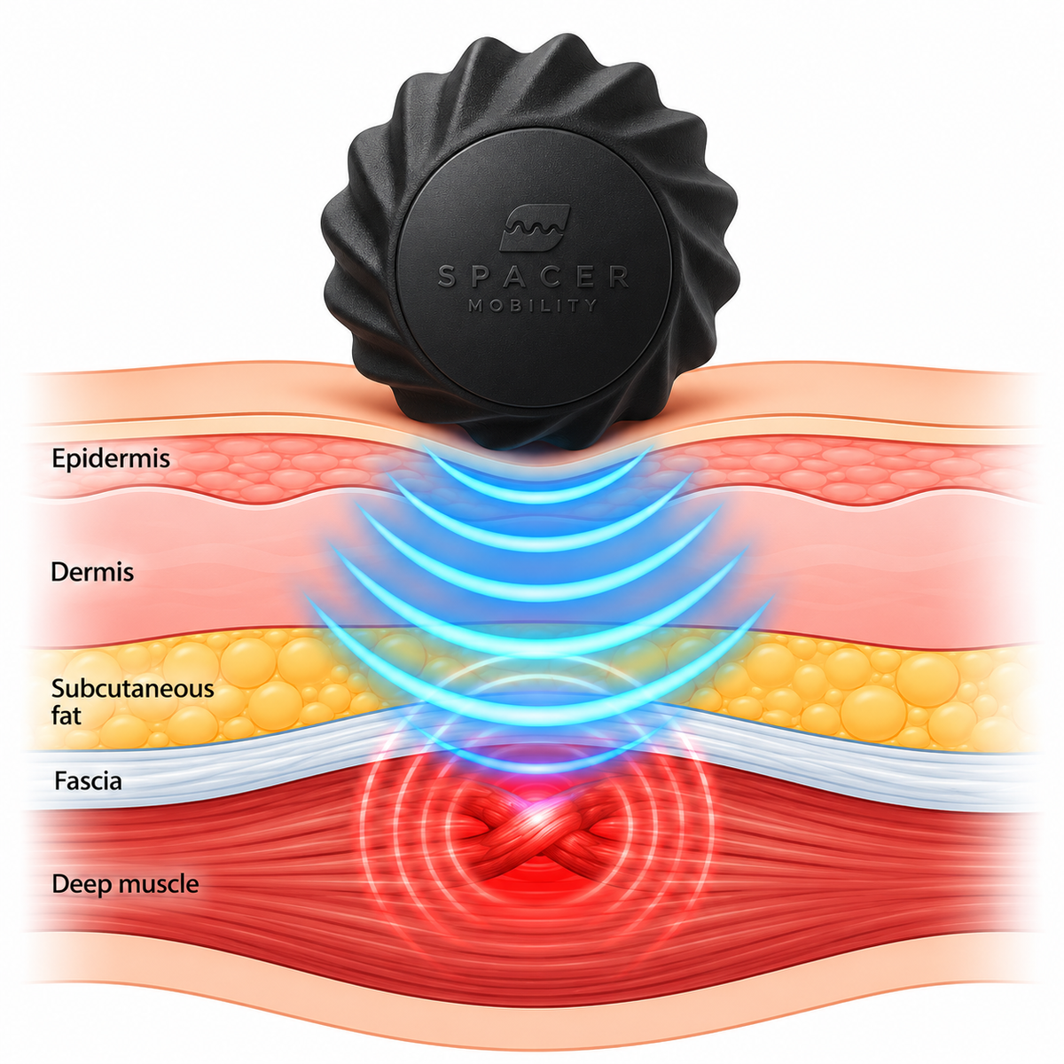 Plantar Fasciitis Bundle