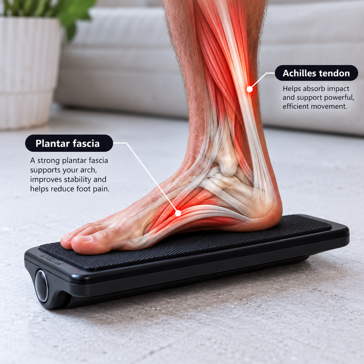Plantar Fasciitis Bundle